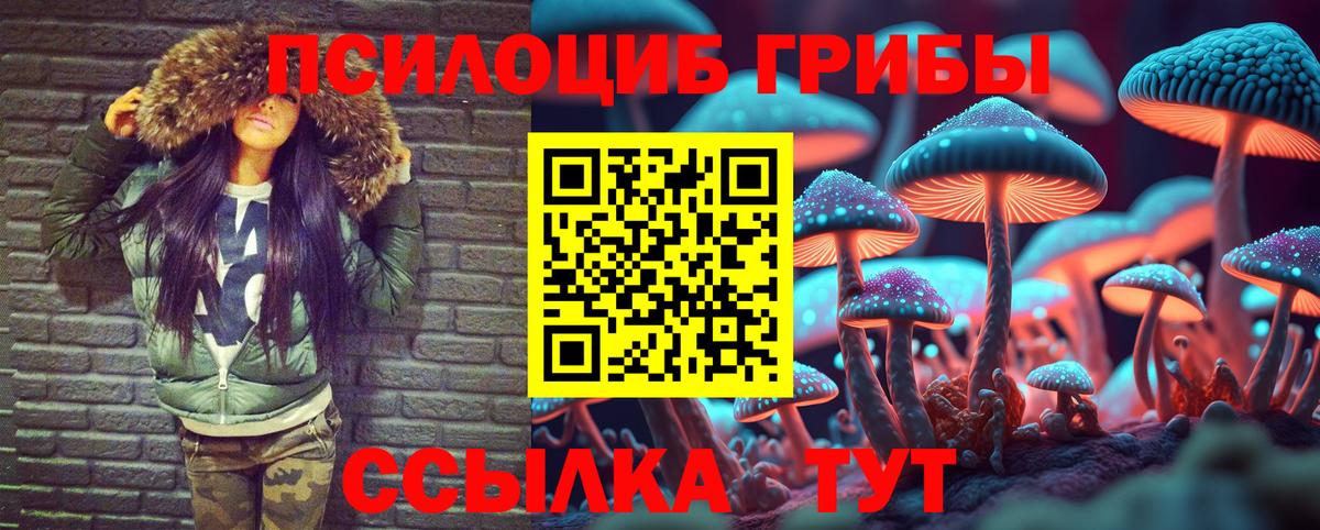 Галлюциногенные грибы MAGIC MUSHROOMS  Псилоцибиновые грибы GOLDEN TEACHER  хочу   Шадринск  Вход с VPN 