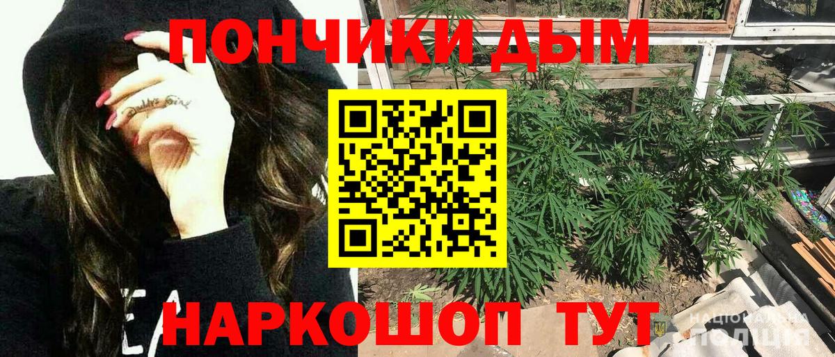 МАРИХУАНА семена Шадринск